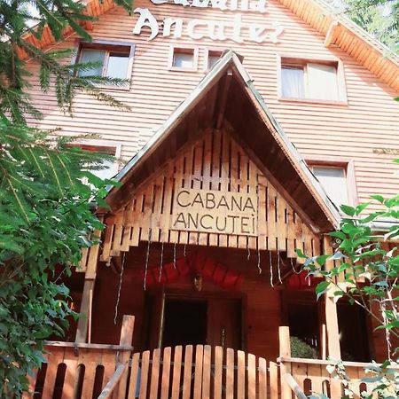 Cabana Ancutei Рукэр Экстерьер фото
