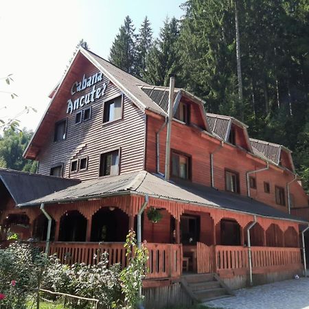 Cabana Ancutei Рукэр Экстерьер фото