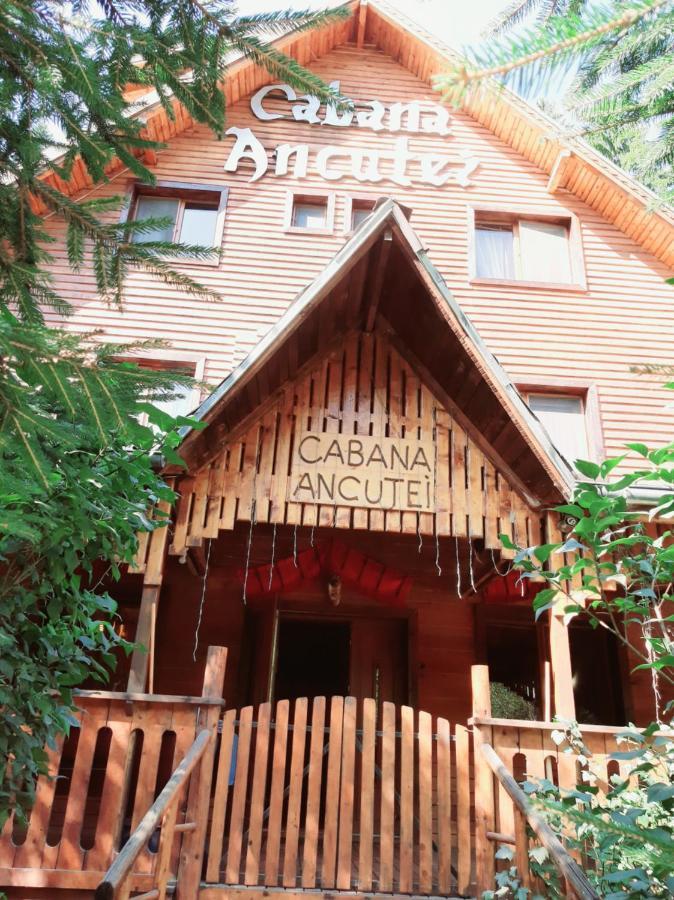 Cabana Ancutei Рукэр Экстерьер фото