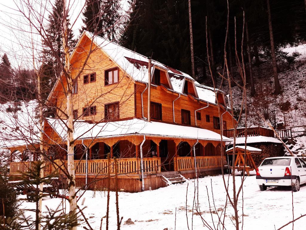 Cabana Ancutei Рукэр Экстерьер фото